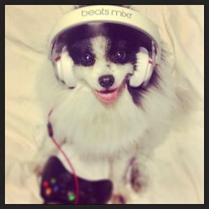 Meet your Posher, Tina